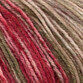 Woodlander Yarn - Red & Brown L7 (100g) additional 3