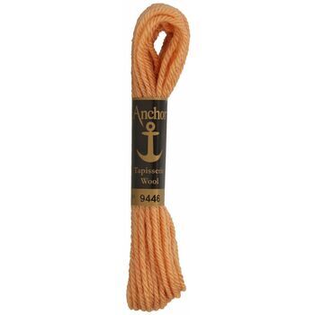Anchor: Tapisserie Wool: Colour: 09446: 10m