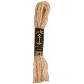 Anchor: Tapisserie Wool: Colour: 09486: 10m