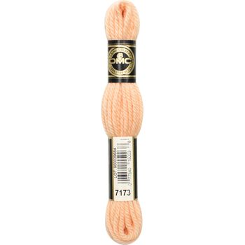 DMC Tapestry Wool: 10 x 8m: Skeins: Chai Spice (7173)