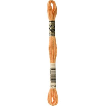 DMC: Mouliné Special 25: Colour 3854: Stranded Cotton: 8m