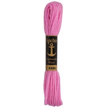 Anchor: Tapisserie Wool: Colour: 08486: 10m