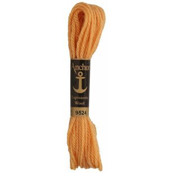 Anchor: Tapisserie Wool: Colour: 09524: 10m