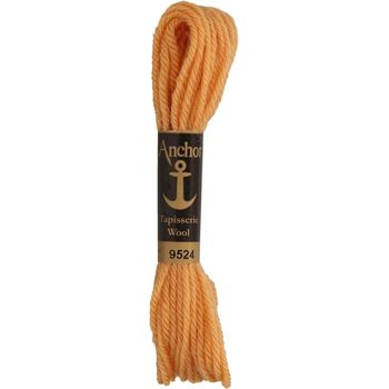 Anchor: Tapisserie Wool: Colour: 09524: 10m