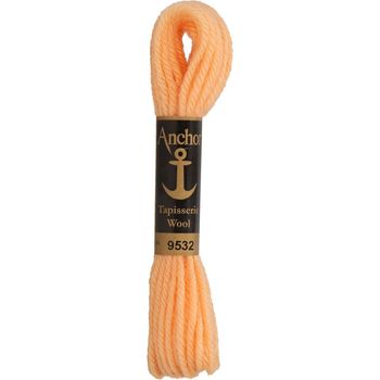 Anchor: Tapisserie Wool: Colour: 09532: 10m