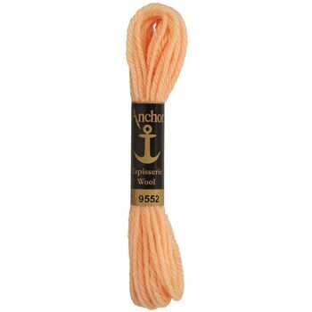 Anchor: Tapisserie Wool: Colour: 09552: 10m