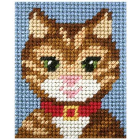 Orchidea My First Embroidery Needlepoint Kit - Tabby Cat