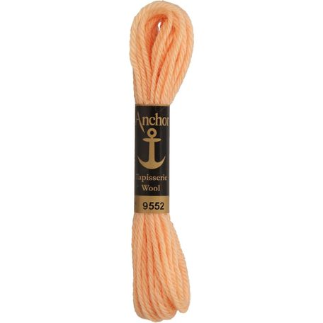 Anchor: Tapisserie Wool: Colour: 09552: 10m