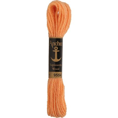 Anchor: Tapisserie Wool: Colour: 09554: 10m